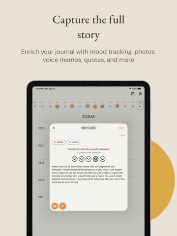 5 Year Journal • Daily Diary iPad screenshot
