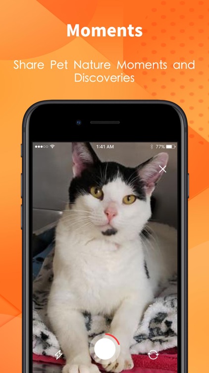 KittyPark - find a dream cat screenshot-3