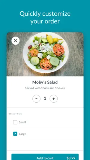 Moby Dick House of Kabob screenshot 2