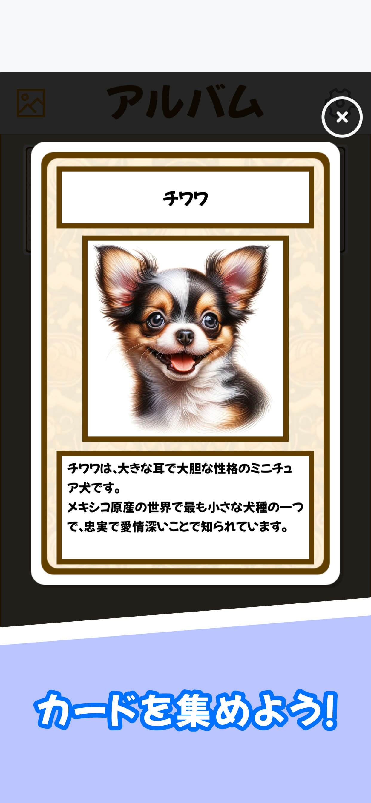 子犬がいっぱい ワンダフル ジグソーパズル