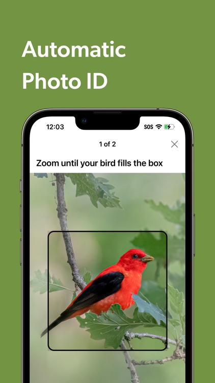 Merlin Bird ID by Cornell Lab screenshot-6