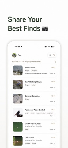 Perchly - Bird Journal iPhone screenshot