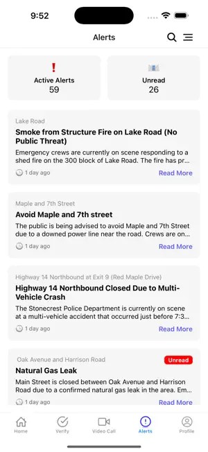 Bridge911 screenshot 3
