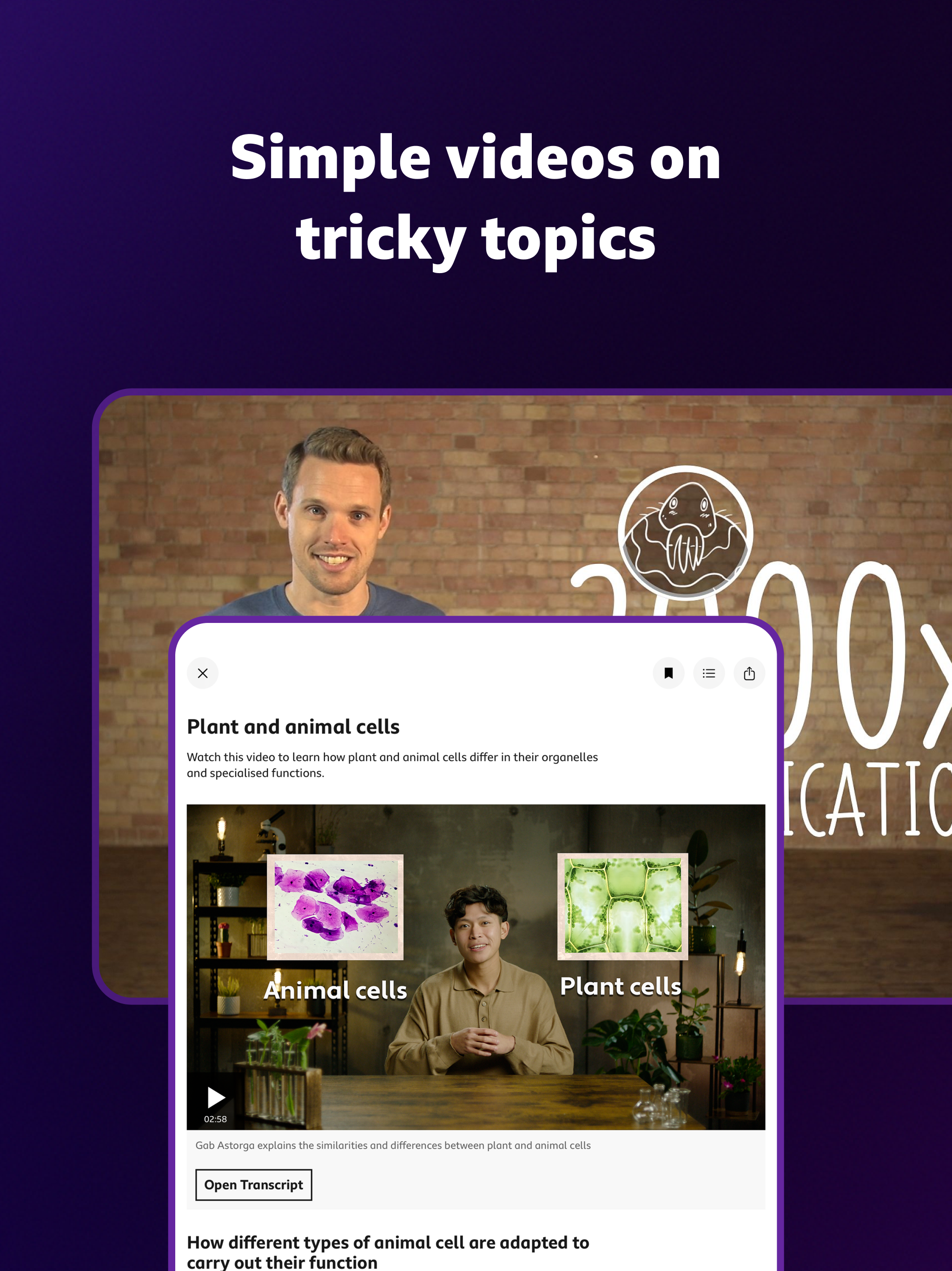 BBC Bitesize - Exam Revision screenshot 11