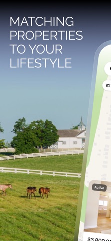 The Angela Lanuto Team screenshot