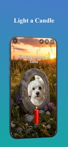 PokiCandle - Pet Memorial Screenshot 2 of 5