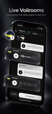 Voiiroom screenshot 5