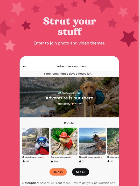 Zoo by Chewy - Pet Community iPad screenshot 4 - Social Networking app