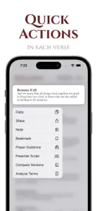 Biblearn+™ KJV Edition screenshot #3 for iPhone