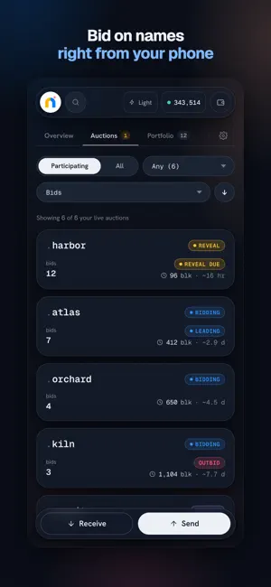 Namebase Wallet screenshot 2