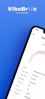 VibeBrux screenshot 1