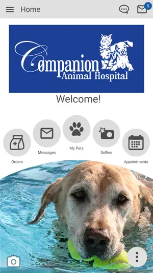 Companion Animal Hospital FL screenshot 1