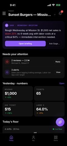 FrostOps: AI Store Manager iPhone screenshot