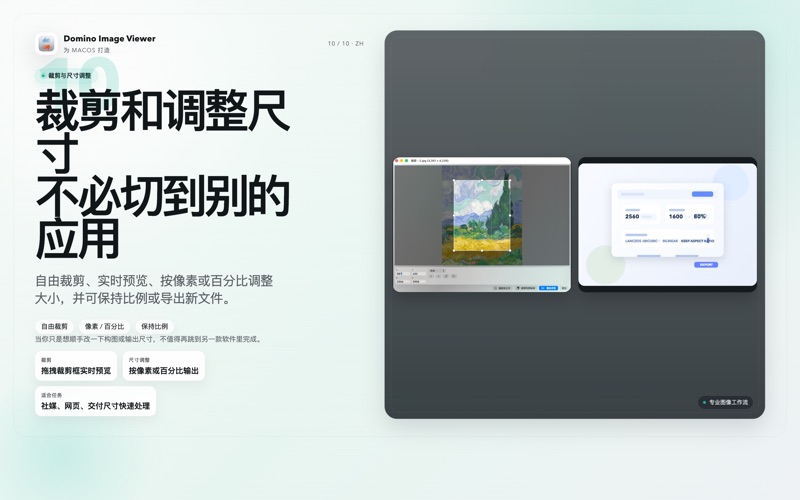 Domino Image Viewer screenshot