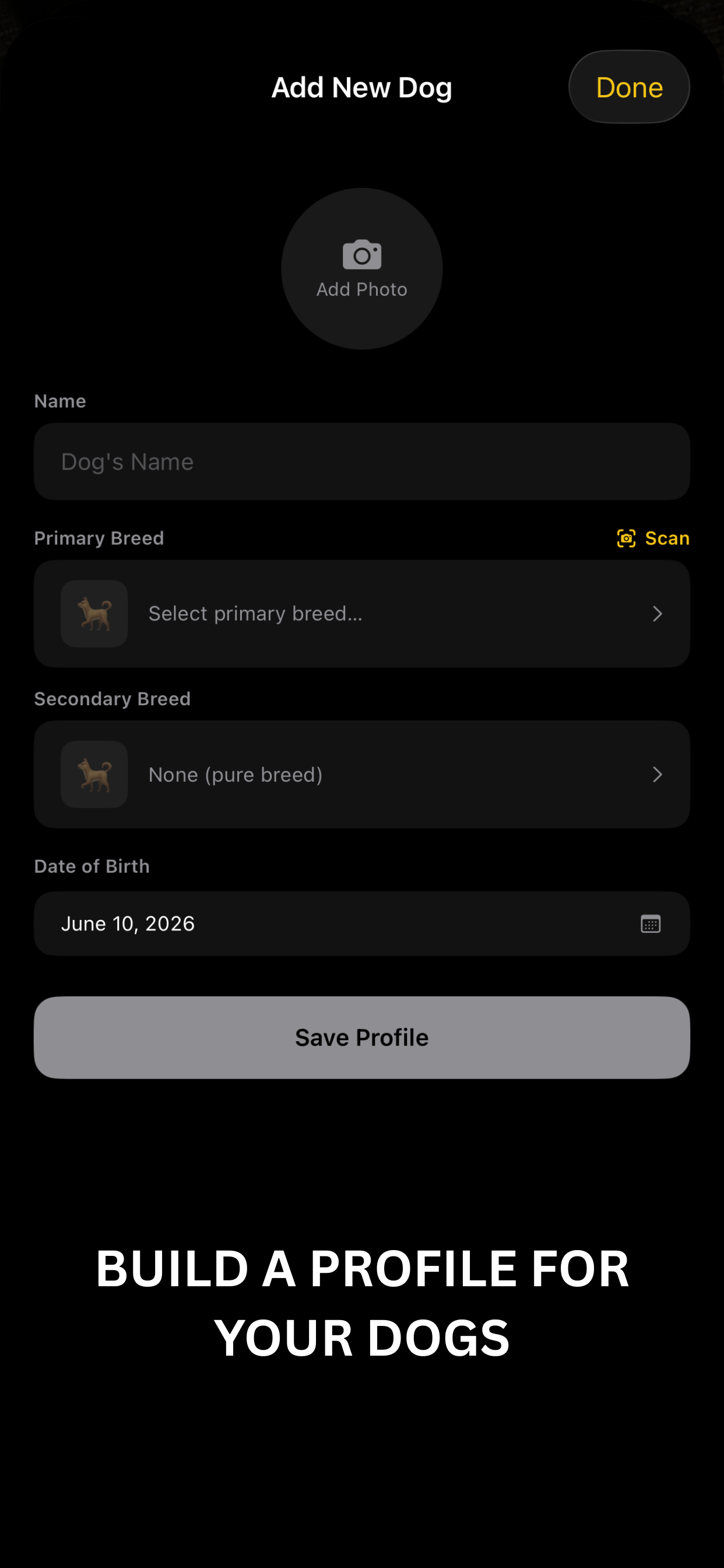 DogView - Dog Vision Camera screenshot 4