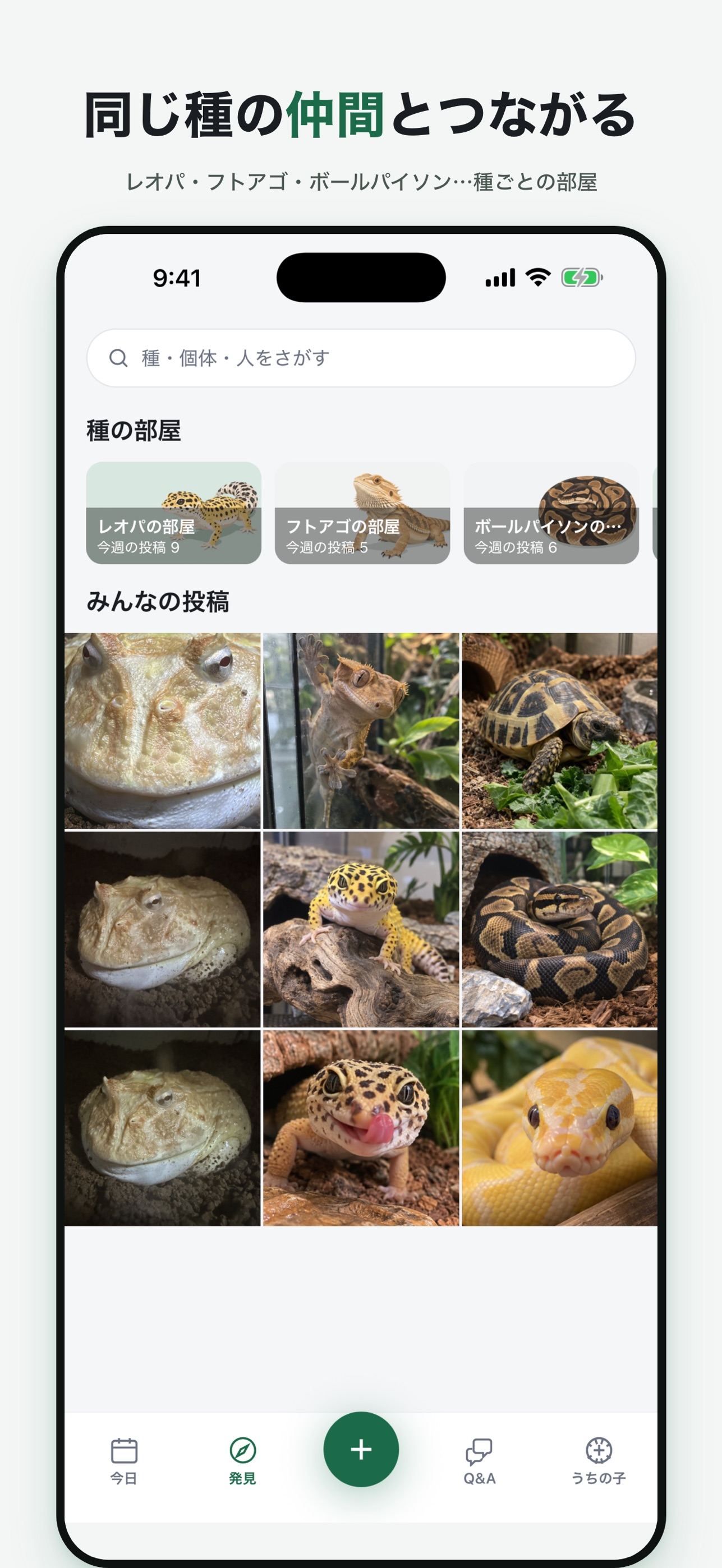 Screenshot 4 of うちの爬虫類