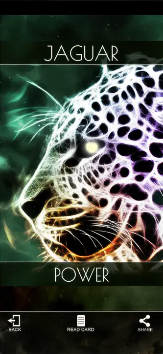 Shamanic Oracle Cards: Screenshot 6 von 7