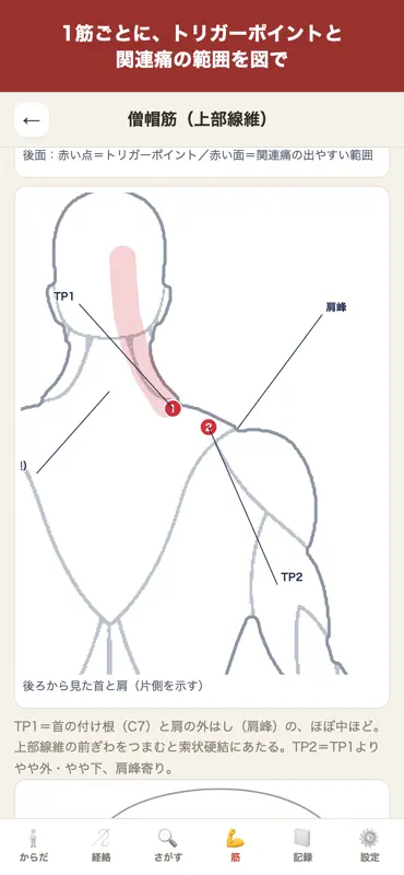 経穴図鑑ナビ screenshot 3 of 10