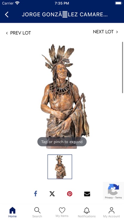 Treasure Trove Auctions screenshot-3