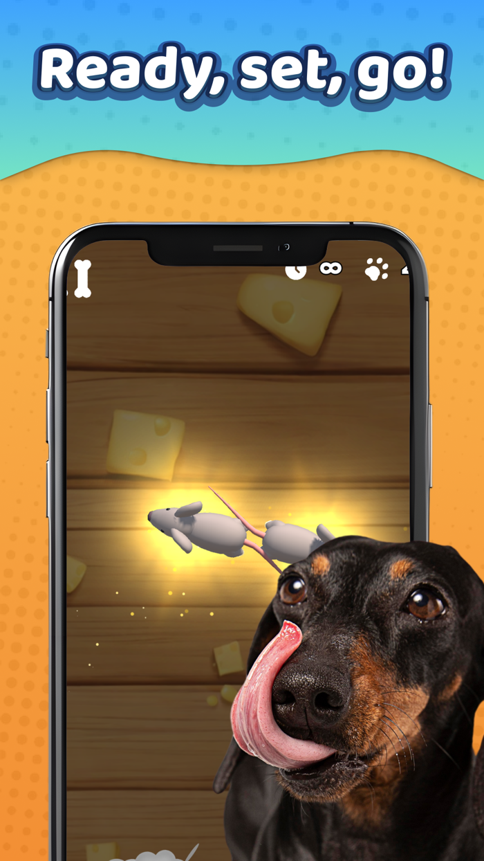 Laser Pointer － Games for Dogs