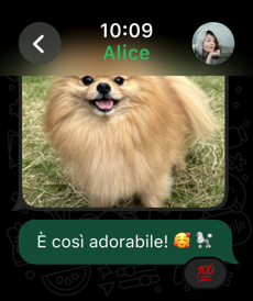 WhatsApp Messenger Screenshot