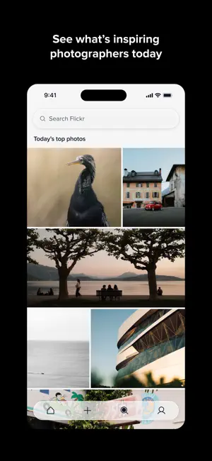 Flickr screenshot 2