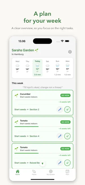 Ortaia screenshot 2