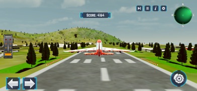 Passenger Airplane Flight Sim Screenshot 2 of 4