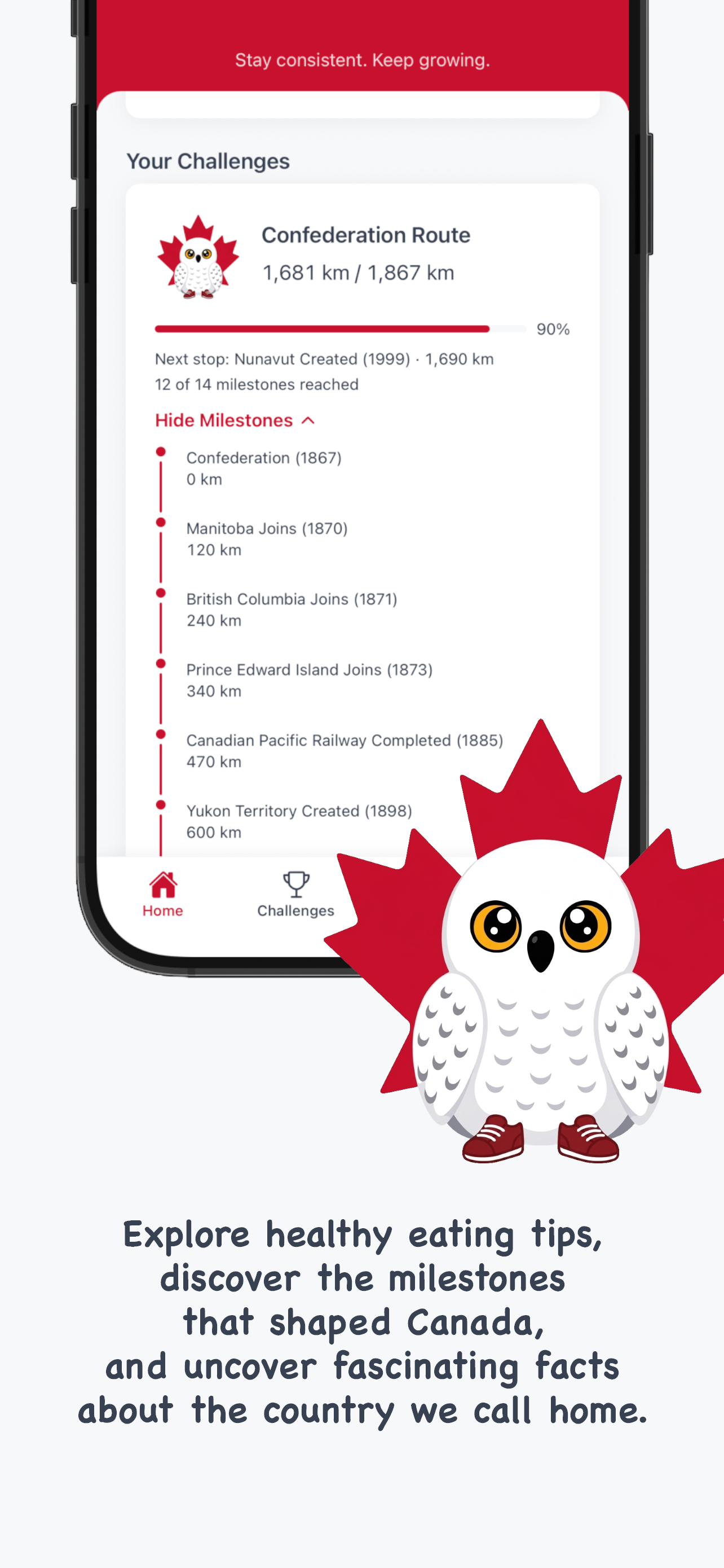 SnowyOwl screenshot 5