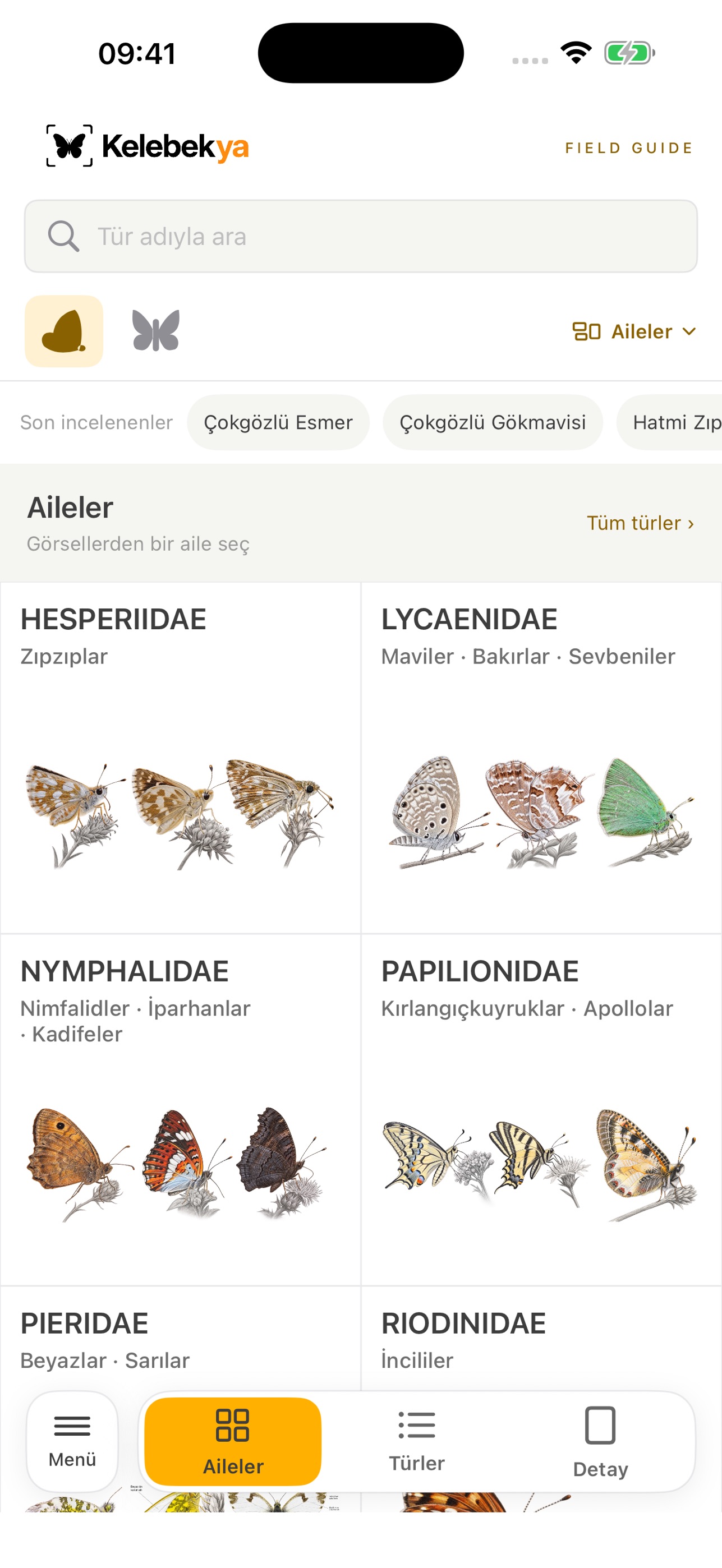 Screenshot 2 of Kelebekya Field Guide