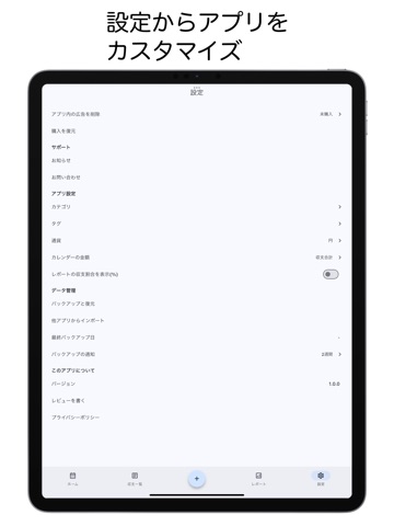 Money Manager - Expenses iPad screenshot