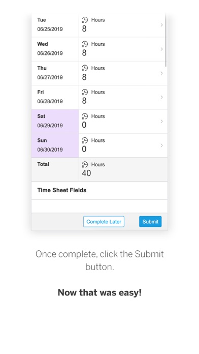 SAP Fieldglass Time Entryのおすすめ画像3