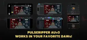 PulseRipper screenshot 2