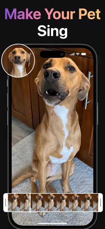 AI Video Generator + Creator screenshot 3 of 8