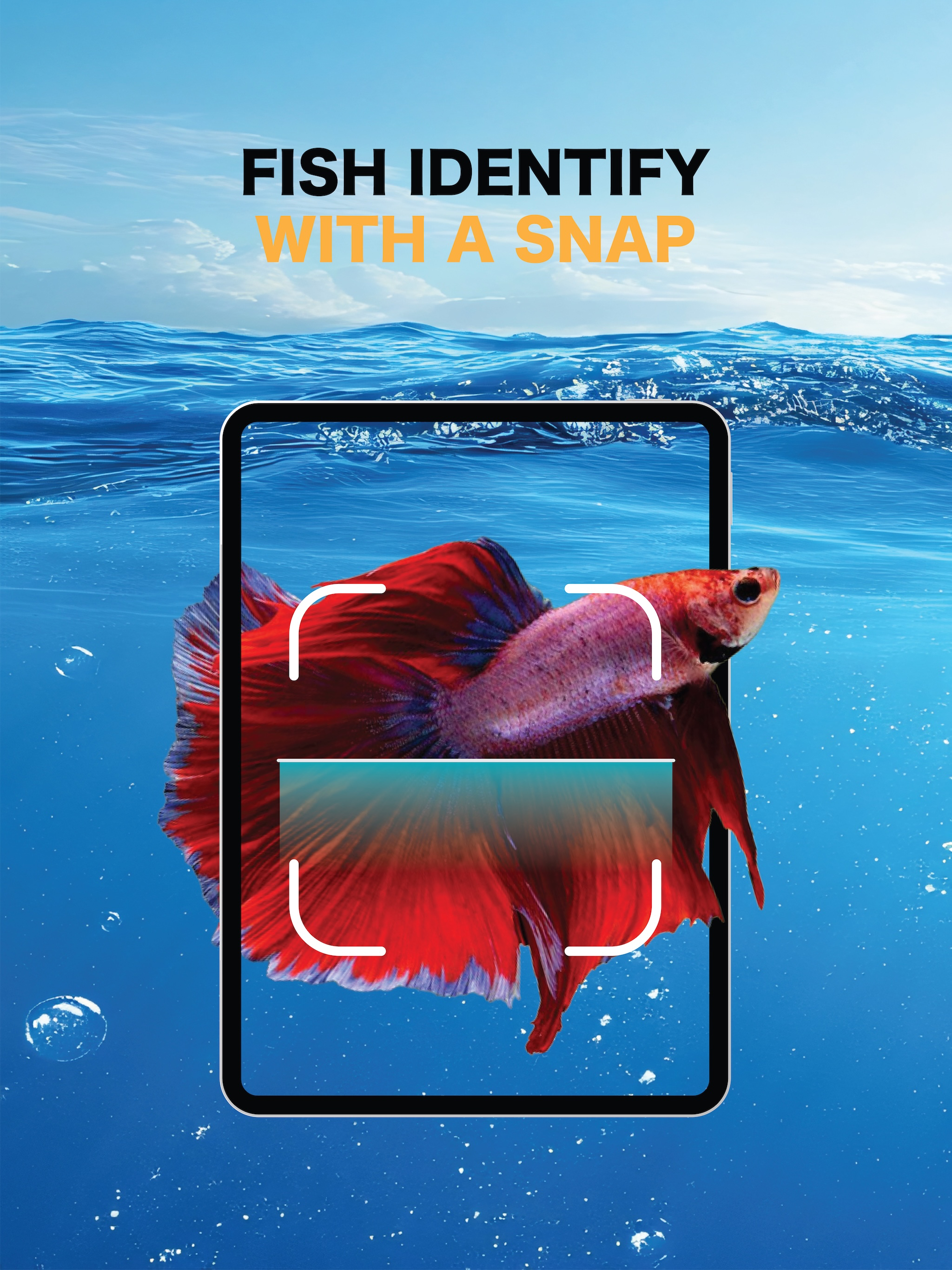 Fish Identifier: Snap & Finder