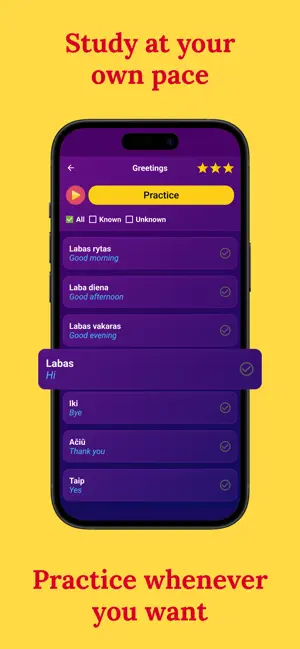 Learn Lithuanian (Beginners) screenshot 3