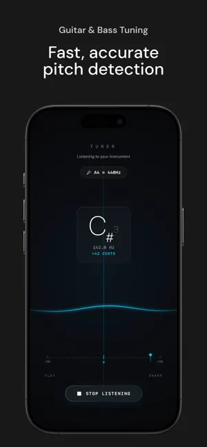 Chromatic Tuner - BA2 screenshot 2