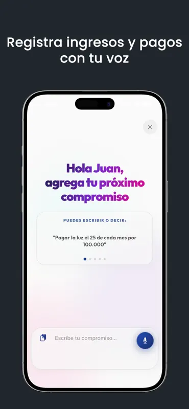 NoSeMePasa: Control de Pagos screenshot 7 of 9