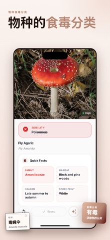 蘑菇图鉴 screenshot