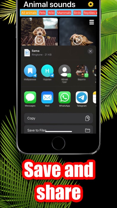 Animal Sounds and Ringtones Screenshot