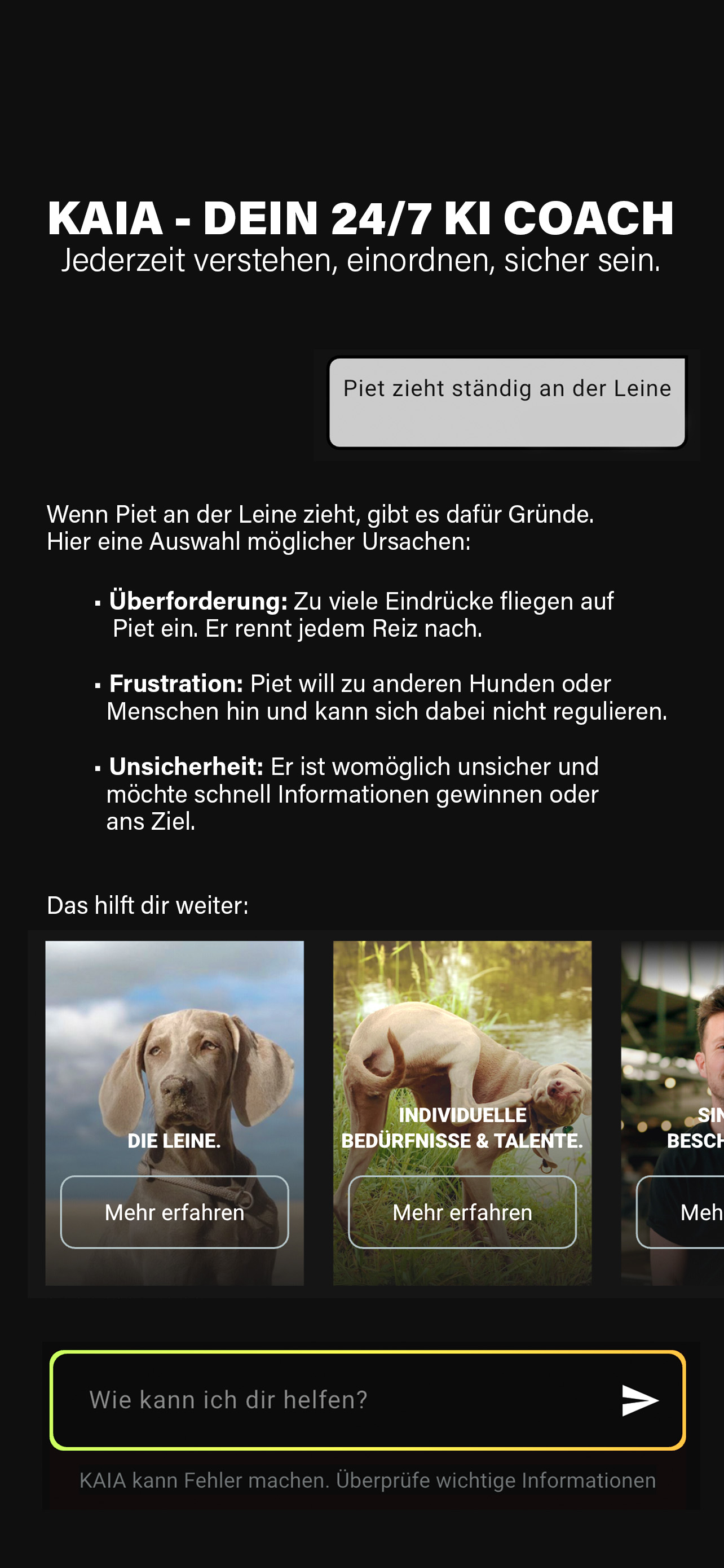 RUDEL. Welpe beißt? Hilfe