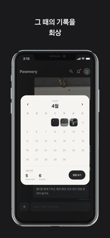 Pawmory: Pet recorded in 3 sec iPhone screenshot