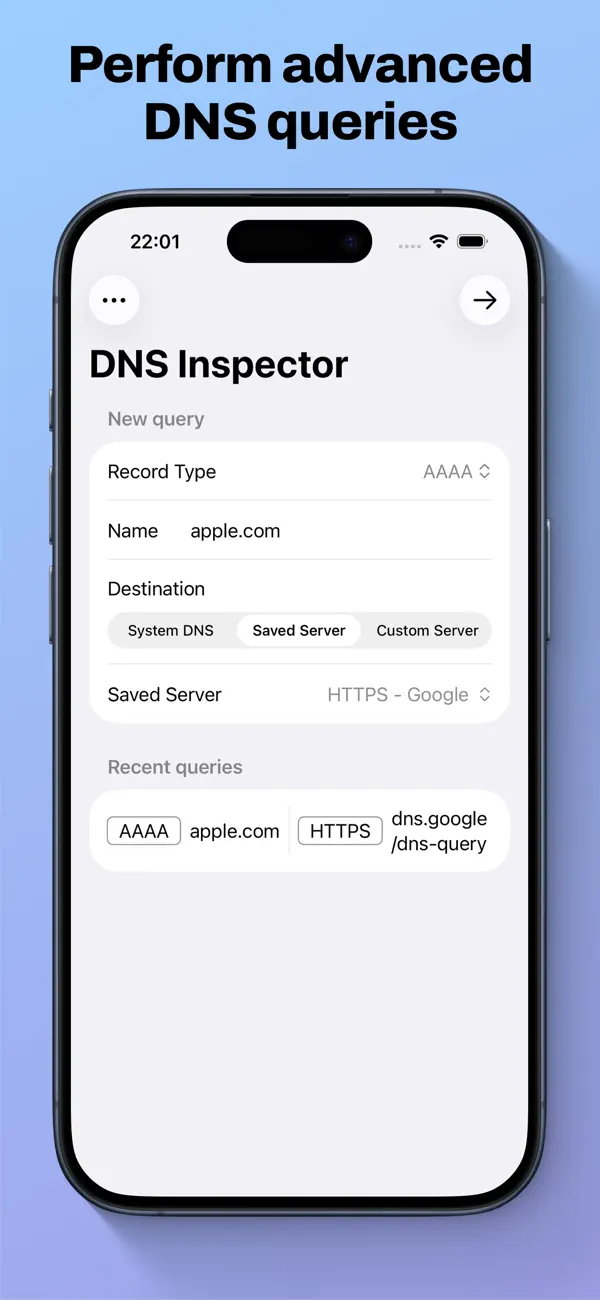 Screenshot #1 pour DNS Inspector