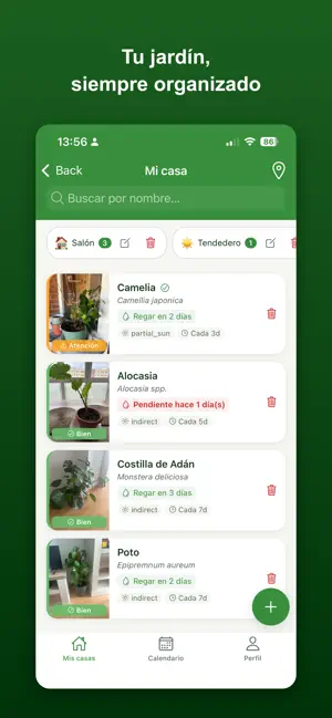 FrondAI: Cuidar Plantas IA screenshot 2
