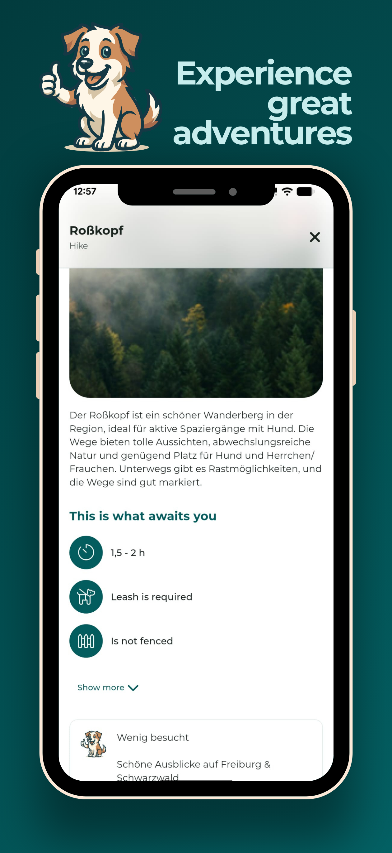 WuffsWorld – Dogfriendly Trips