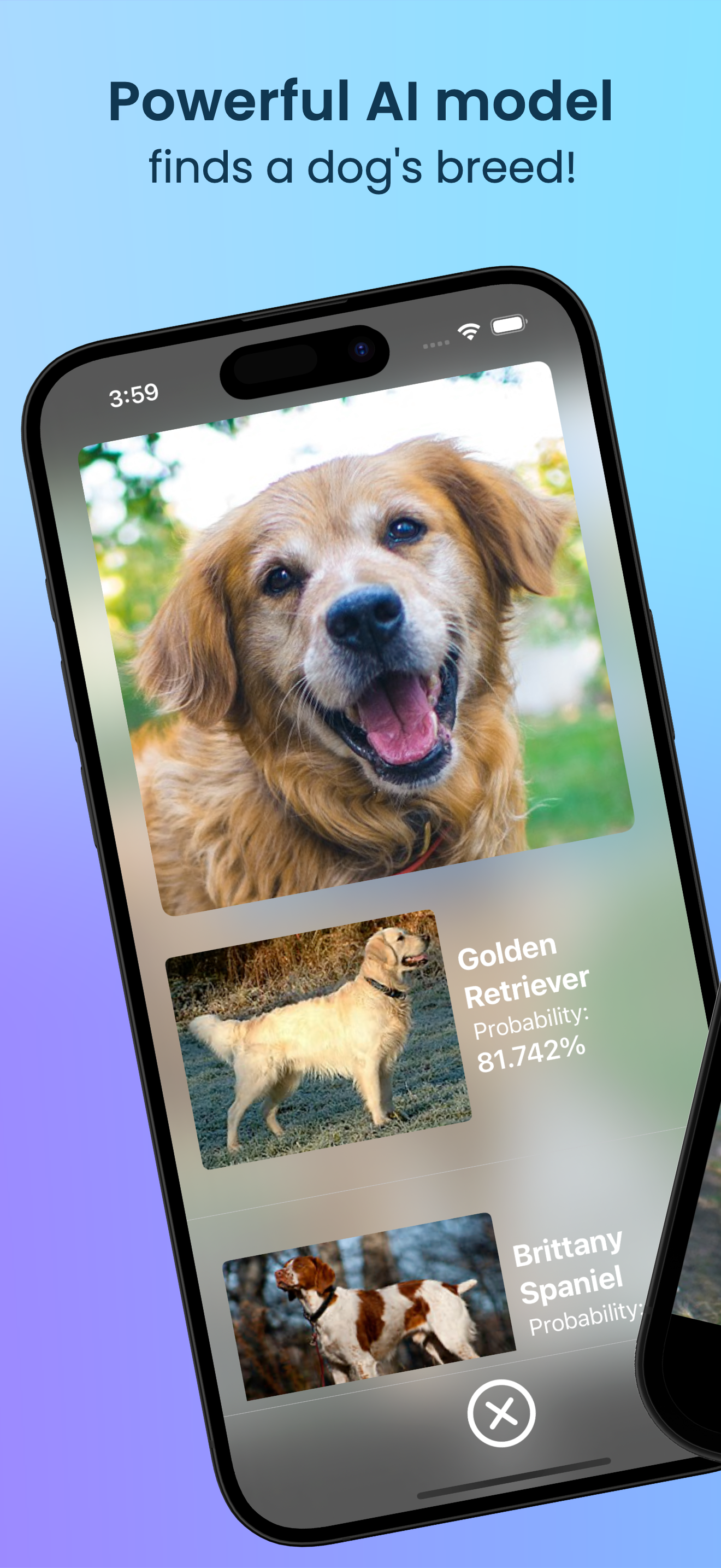Dog Breed AI Photo Scanner