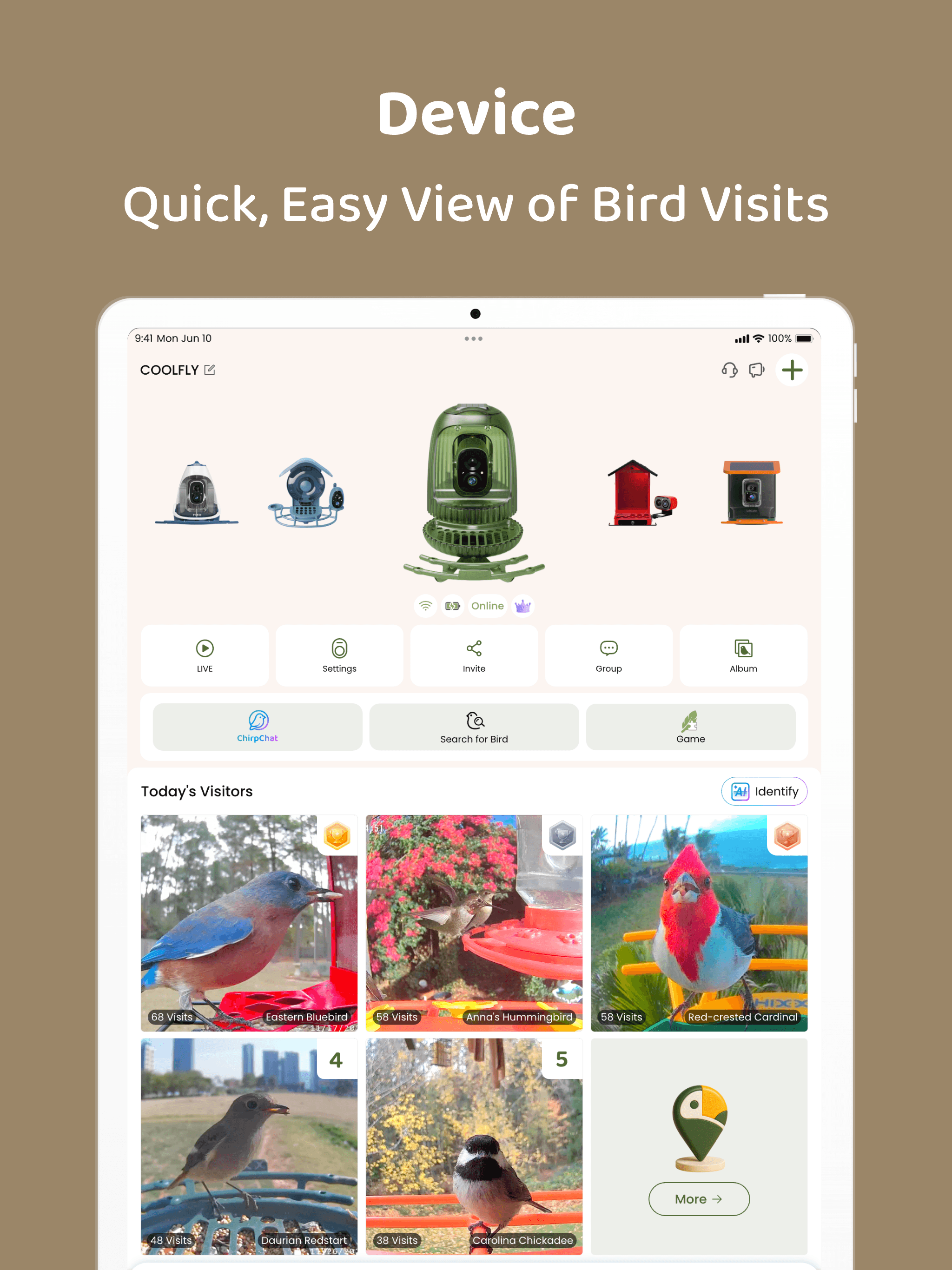 COOLFLY：Free Bird ID&Community screenshot 11