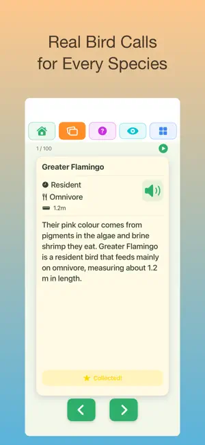 100 World Birds, Colorful screenshot 3
