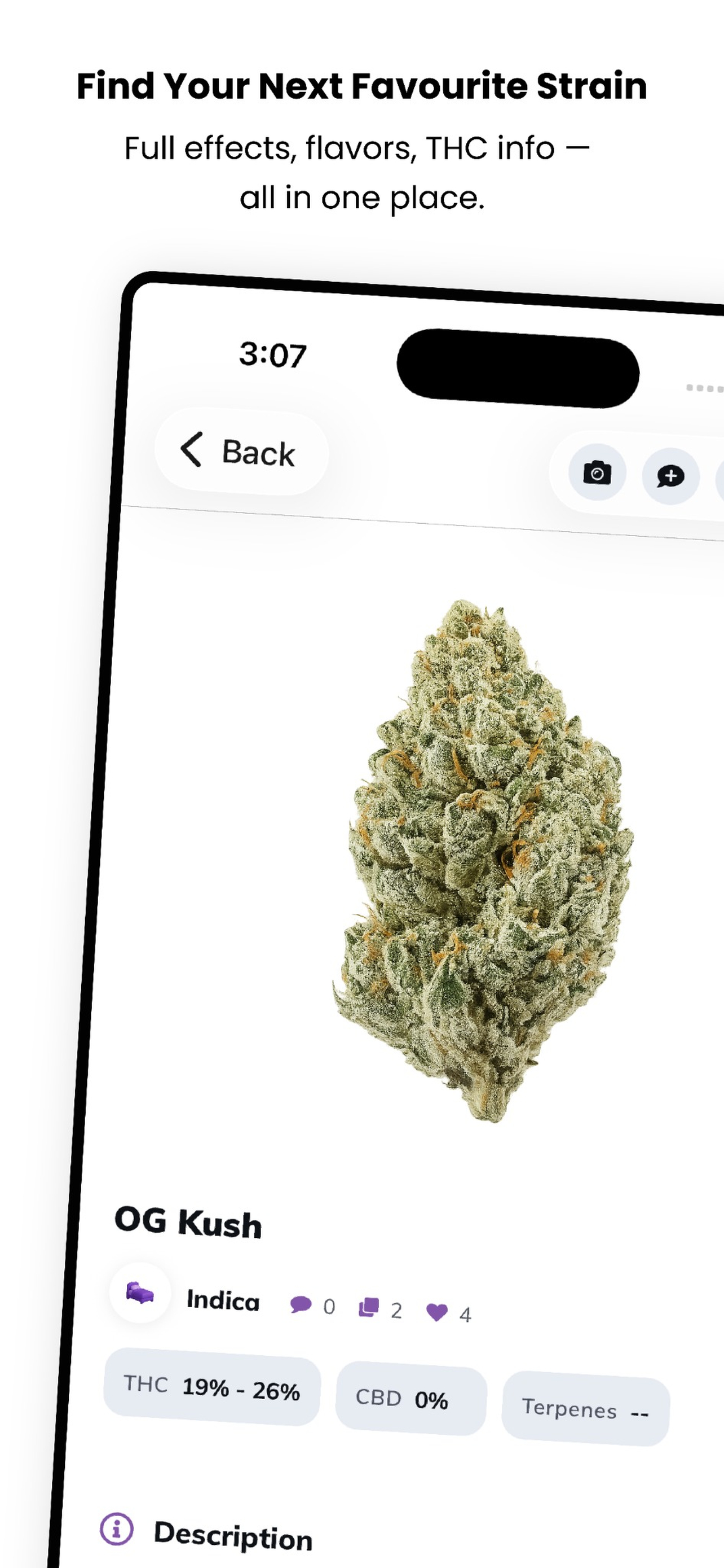 Cannections screenshot 3