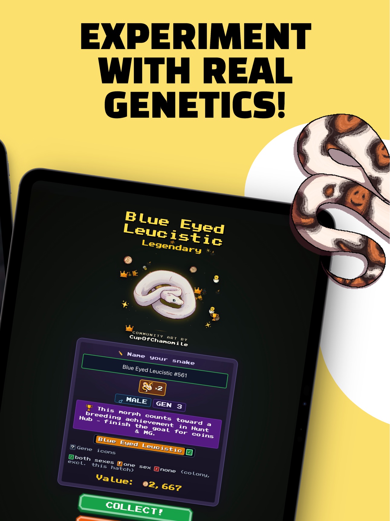 Screenshot 7 of 8-Bit Morphs